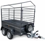 Remolque 2 ejes 2.200 x 1.500 x 500 – Reforzado – Mma 750 kg